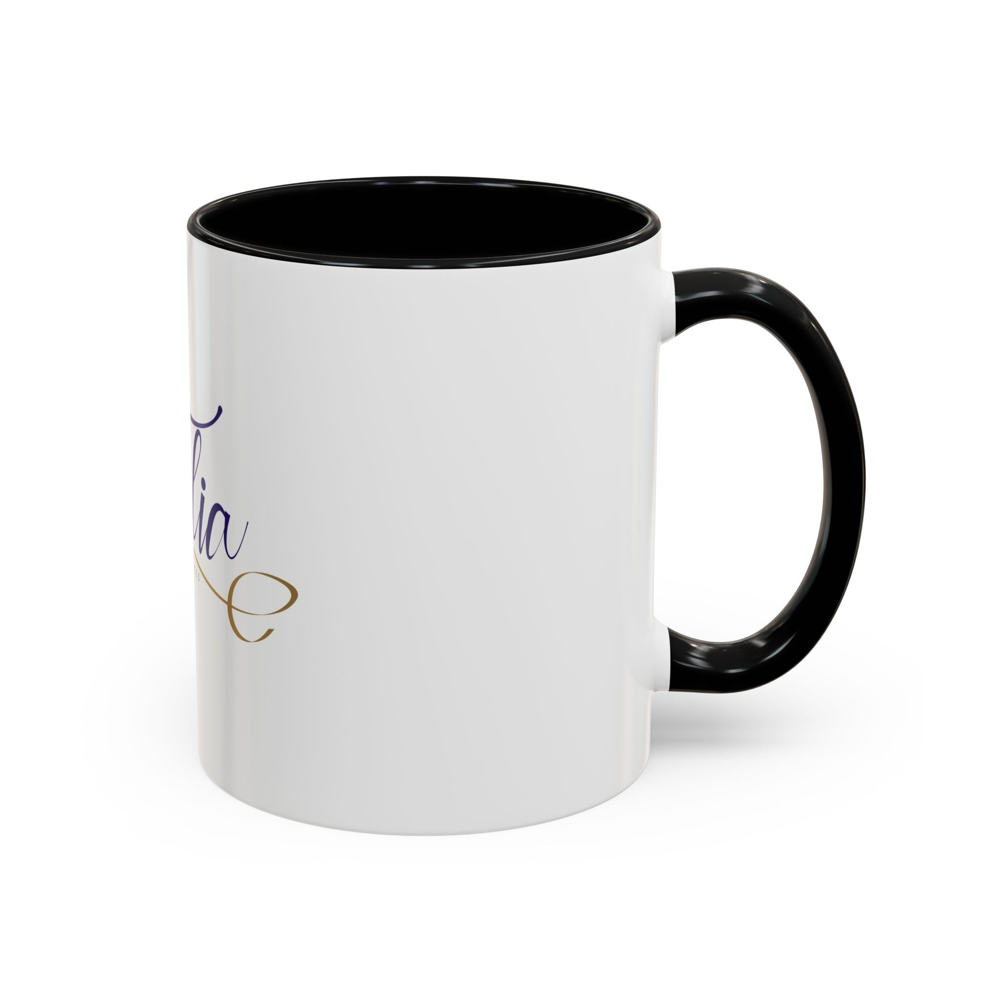 Talia Enterprises Accent Coffee Mug (11, 15oz)